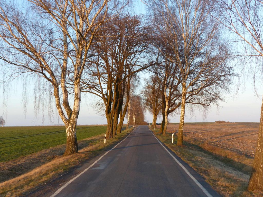 Hoffnung für Landschaftsbild und Kleinklima.