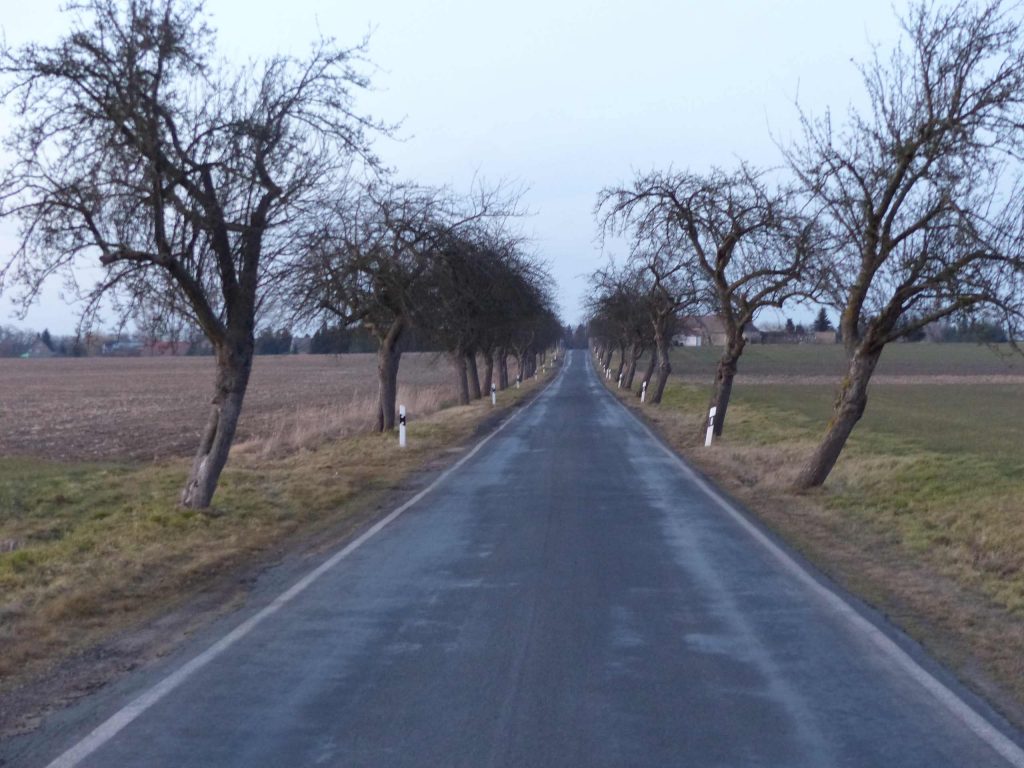 Hoffnung für Landschaftsbild und Kleinklima.