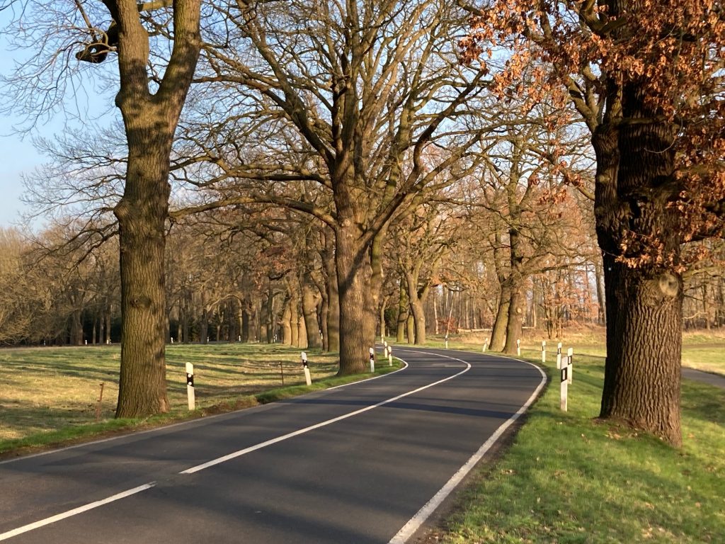 Hoffnung für Landschaftsbild und Kleinklima.